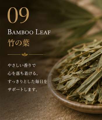 竹の葉
