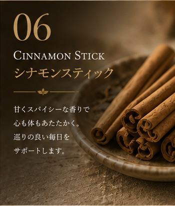 シナモンスティック